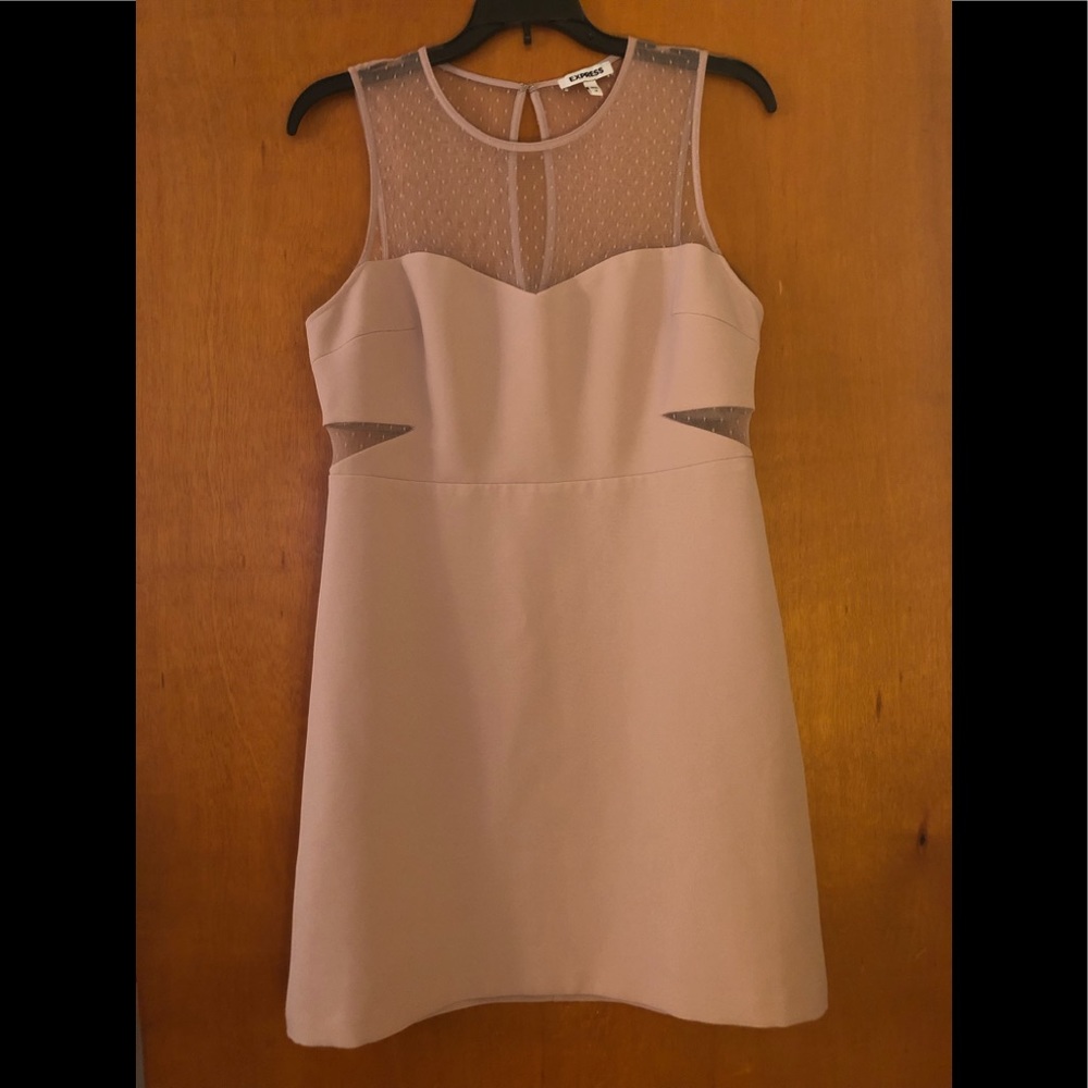 Blush Dress with Mesh Cutouts